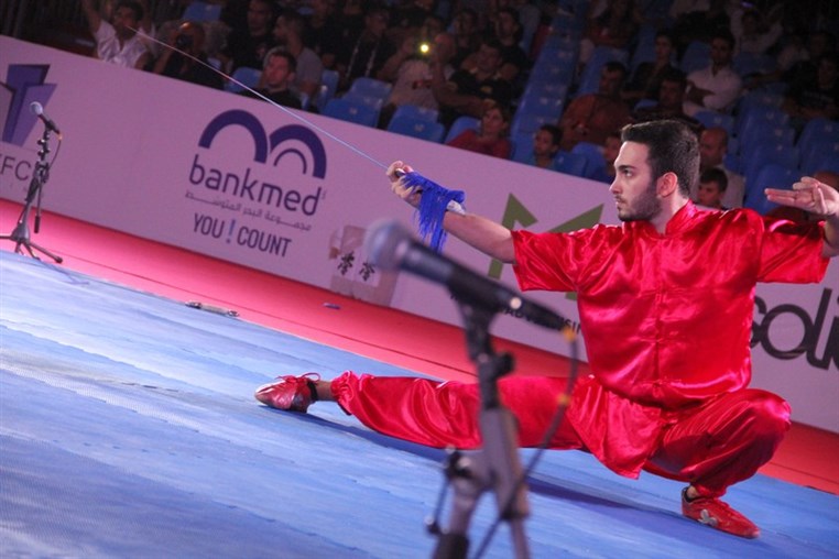 Martial Arts Festival